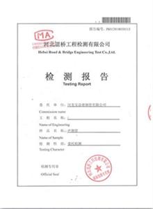 淄博公司检测报告